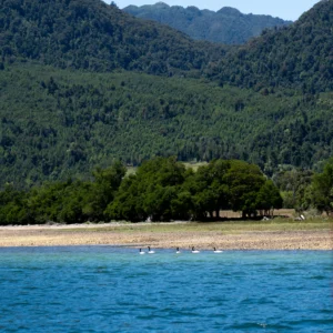 hostal-bella-vista-puerto-cisnes-navegacion-3