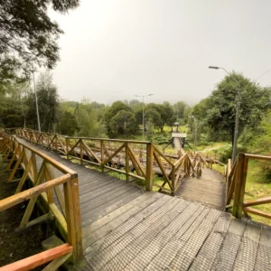 hostal-bella-vista-puerto-cisnes-sendero